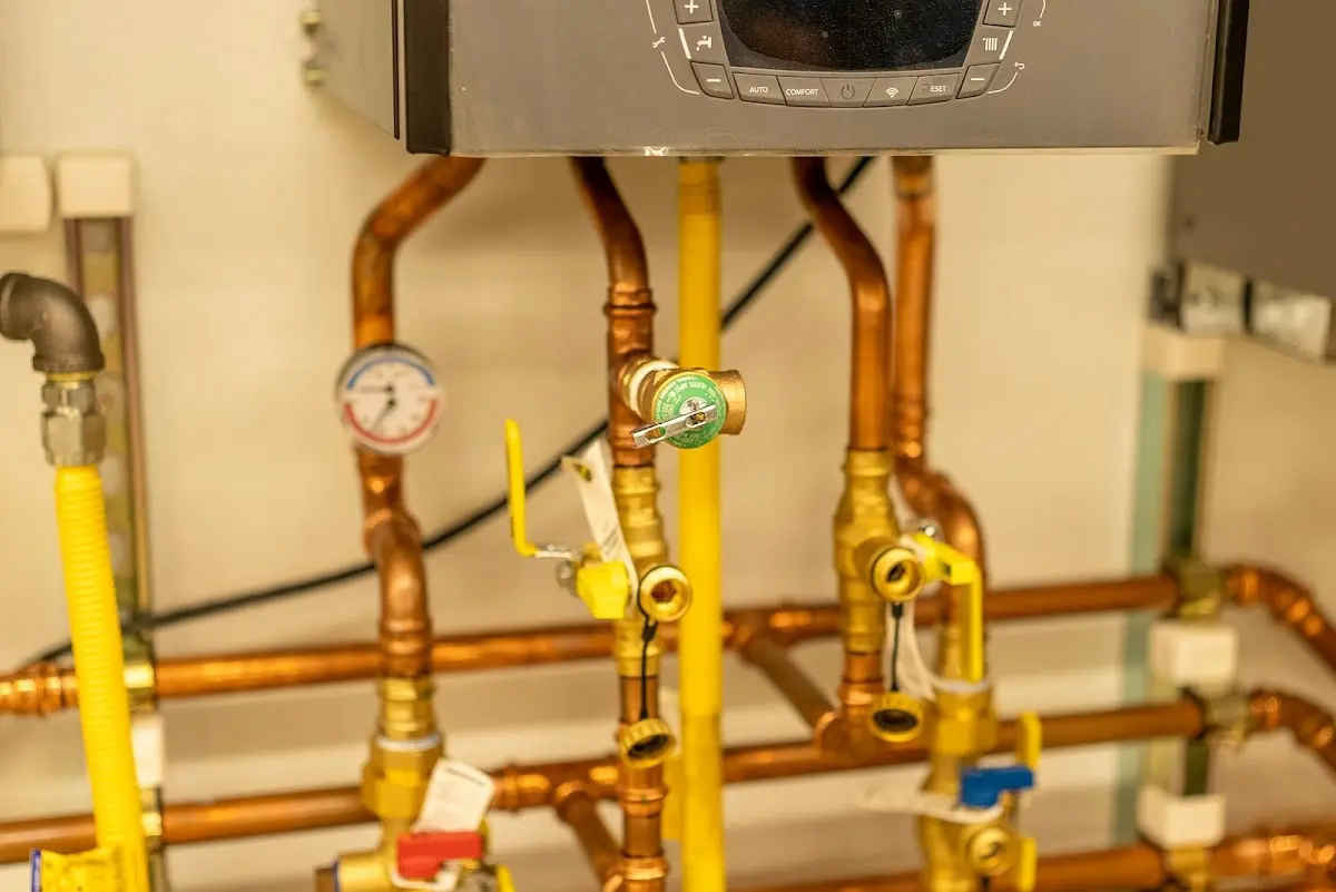 Licensed technician providing Emergency Plumbing for a homeowner in Rockford